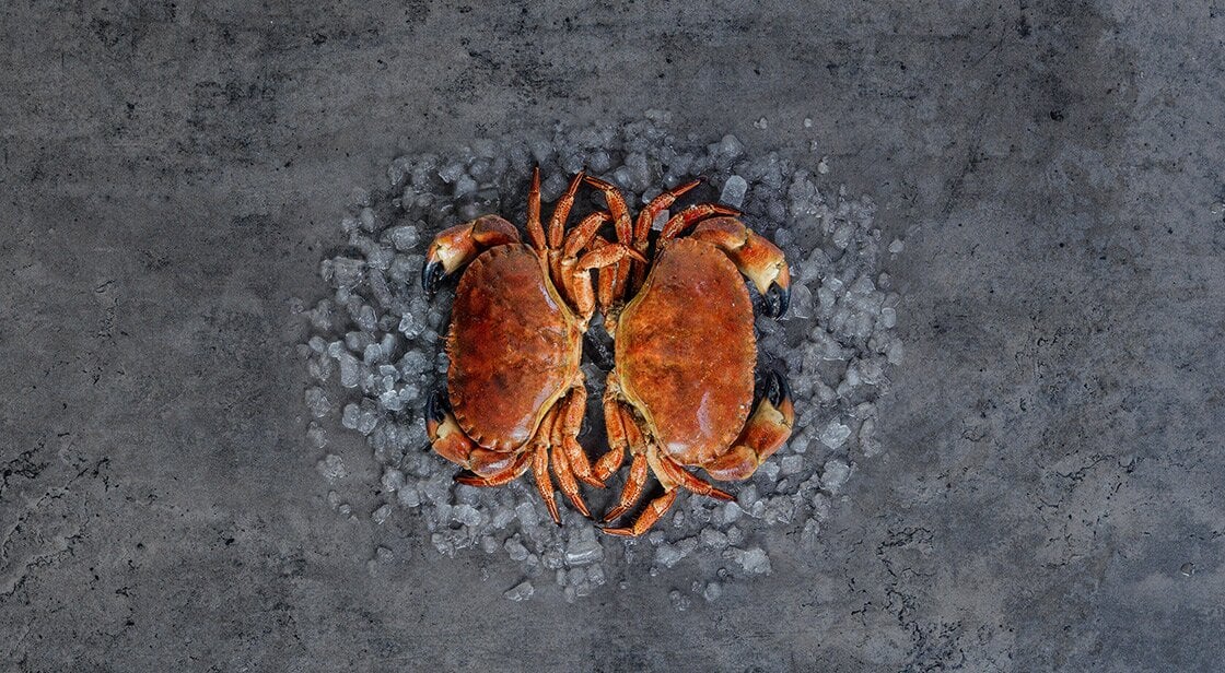 Brown crabs on ice